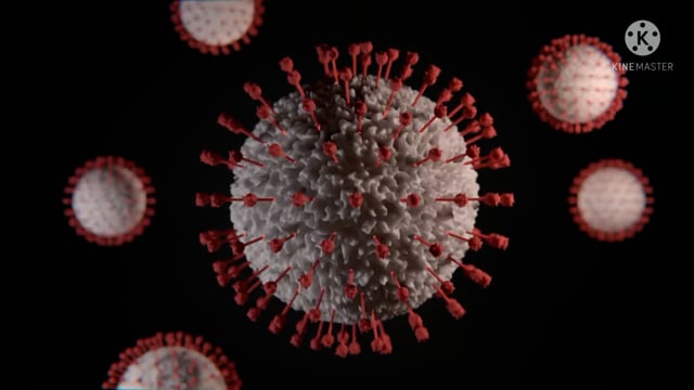  काँकेर मे बढ़ते कोरोना संक्रमण को देखते हुए जिला प्रशासन द्वारा लिया गया बड़ा फैसला,आगामी आदेश तक धारा 144 लागू... 