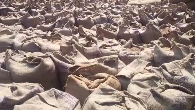 जिले के 1,46,843 किसानों ने 6,19,923.08 टन धान बेचा, 68.47 प्रतिशत धान का उठाव