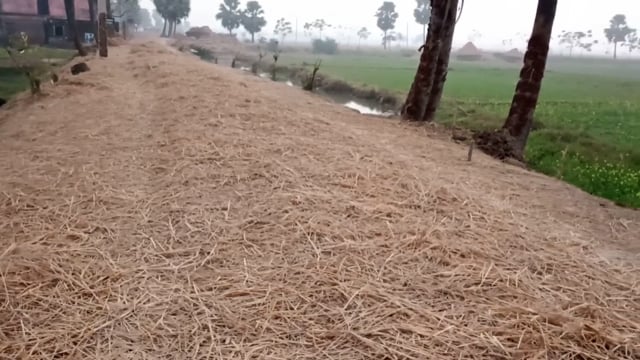 सड़क पर पड़ा पुआल दे रहा दुर्घटना को आमंत्रण।