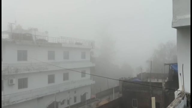 घने कोहरे के कारण बोधगया में विजिबिलिटी हुई कम, मौसम विभाग ने न्यूनतम तापमान में और गिरावट होने की जताई आशंका

