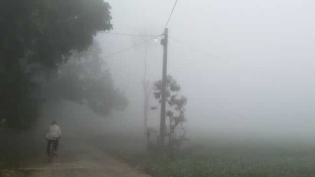 घना कोहरा छाये रहने से जनजीवन प्रभावित 