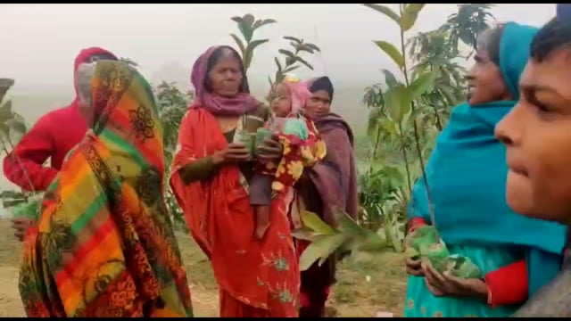 ताजनीपुर में मिशन हरियाली नूरसराय के सहयोग से 385 पौधों का किया गया निःशुल्क वितरण