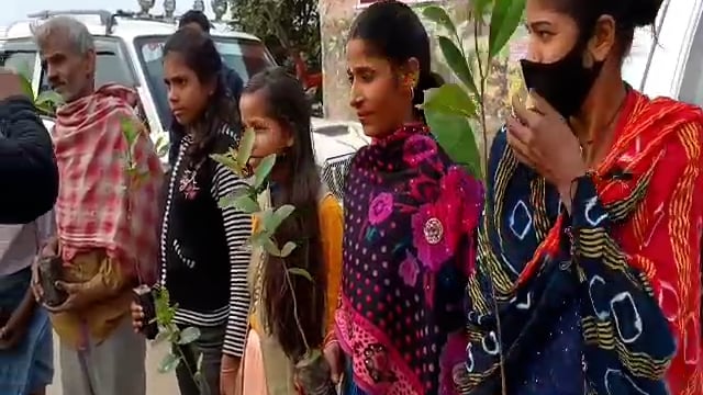 हिलसा शहर के सूर्य मंदिर परिषर में मिशन हरियाली नूरसराय के द्वारा बांटे गए पांच सौ फलदार पौधे