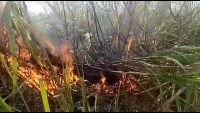 तोंडार येथे शेतकऱ्यांच्या उसाला लागली आग,तीन लाख रुपयांचे नुकसान झाल्याचा अंदाज