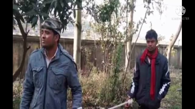 नारदीगंज में बाइक सवार युवक को पुलिस ने किया गिरफ्तार 