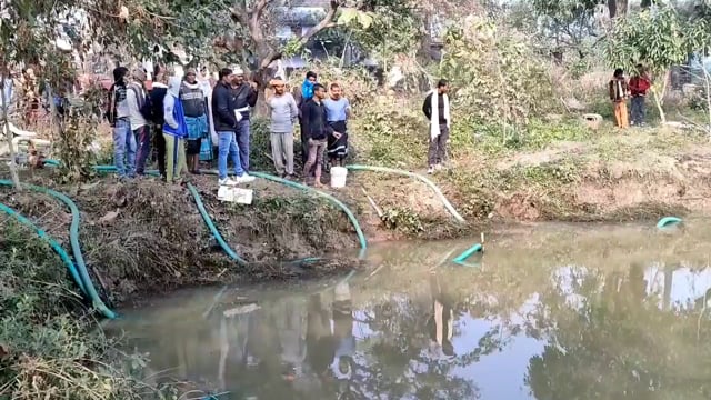 जहाना गाँव मे बदमाशों ने तालाब में डाल दिया जहर 5 लाख का हुआ नुकसान