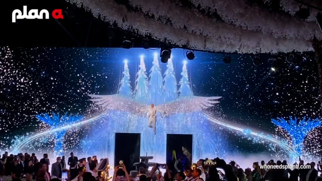 Bridal Entrance Show