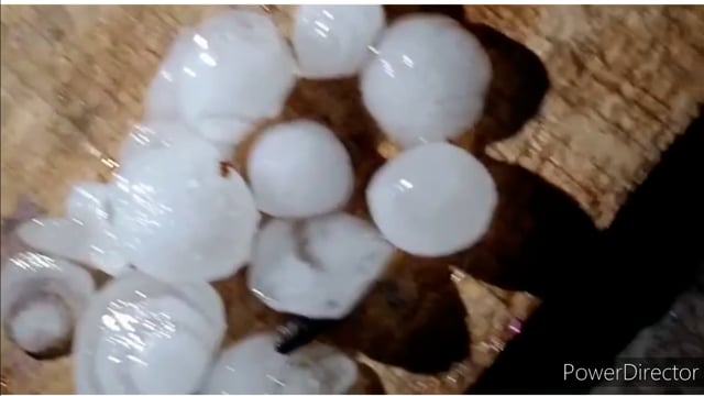 मौसम विभाग का अनुमान निकला सही 3 फरवरी से देर रात 4 फरवरी तक गिरा पानी साथ में ओले