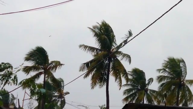 हसनगंज प्रखंड क्षेत्र में आंधी ने मचाया तांडव आंधी से मक्का सहित अन्य फसल हुआ बर्बाद 