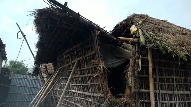 हसनगंज में‌ आई आंधी व तुफान से फूस घर, टीन घर सहित फसलों को हुआ जबरदस्त नुकसान।     
