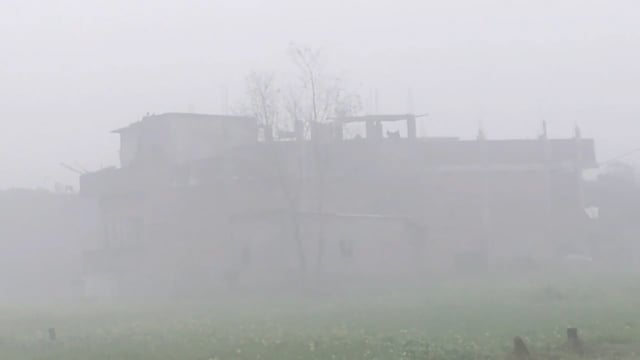 मेजरगंज प्रखंड में मौसम का बदला मिजाज आसमान में कुहासा देखने को मिला।