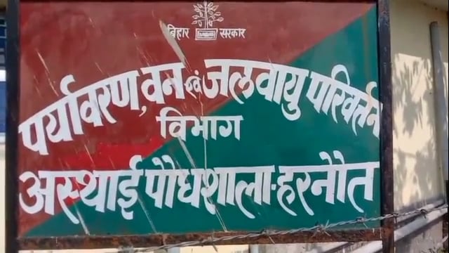 हरनौत: पर्यावरण जलवायु परिवर्तन अस्थाई पौधा साला हरनौत नर्सरी में निरीक्षण करने पहुंचे फॉरेस्टर रेंजर