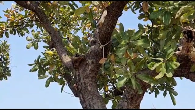 शिरोळ जाणापूर येथे एकाने गळफास लावून केली आत्महत्या ग्रामीण पोलीस ठाण्यात अकस्मात मृत्यूची नोंद