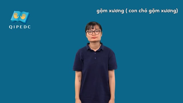 gam-xuong-con-cho-gam-xuong-11340