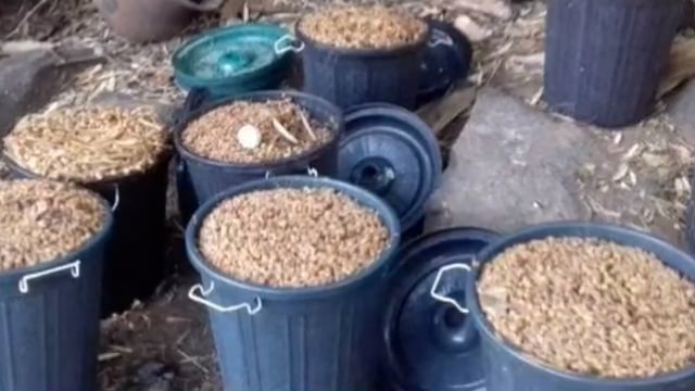 मधेपुर गांव से शराब के दो धराए , गए जेल