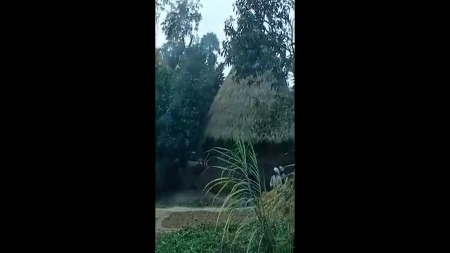 हिलसा में पुरानी रंजिस को लेकर दो गुटों के बीच गोलीबारी करते लाइव वीडियो हुआ वायरल