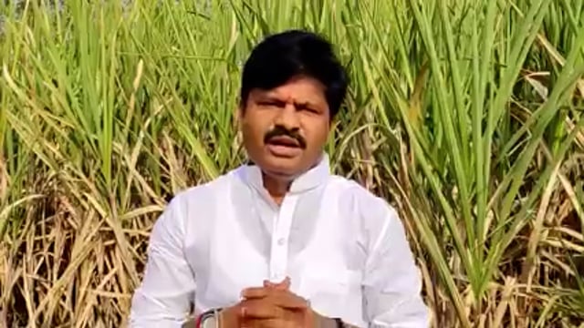 एसटीचा संप मिटण्याच्या आयवजी चिघळवण्याचा सरकार कट रचतय - गोपीचंद पडळकर #gopichandpadalkar