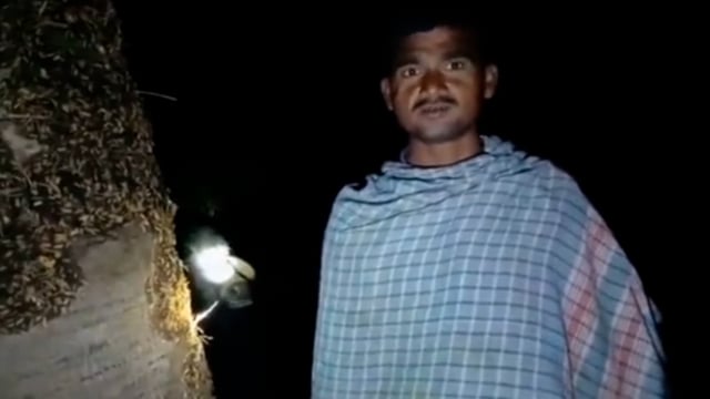 दुधारू मवेशी की चोरी पशु पालक परेशान।