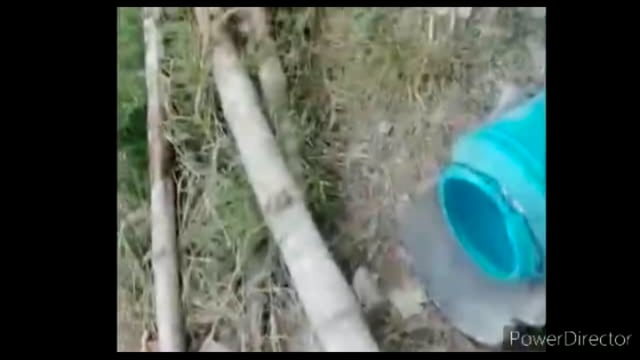 स्थानीय थाने की पुलीस ने विभिन्न गांवो में
छापे मारी कर लग भग 40 लीo से अधिक ताड़ी को किया विनष्ट