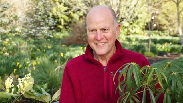 Dan Hinkley plants Windcliff