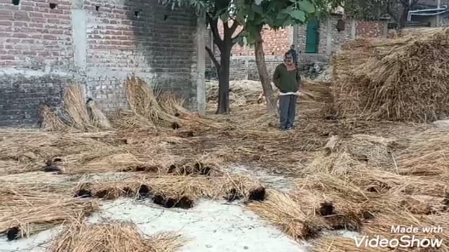 मेसकौर में असामाजिक तत्व के लोगो ने एक किसान के पुंज में लगाई आग,10 हजार रुपये की सम्पति जलकर हुआ राख