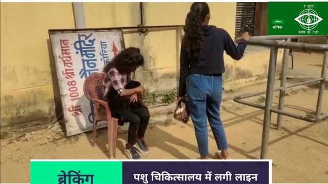 शहरी क्षेत्र में फेरी वायरस के कारण छोटे-छोटे डॉग की हो रही है असमय मृत्यु