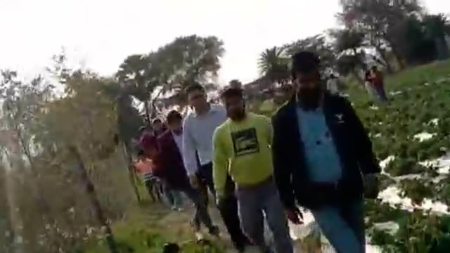 डीएम ने नबीनगर के फुलवरिया में 5 एकड़ में लगे स्ट्रॉबेरी की खेती का किया निरीक्षण