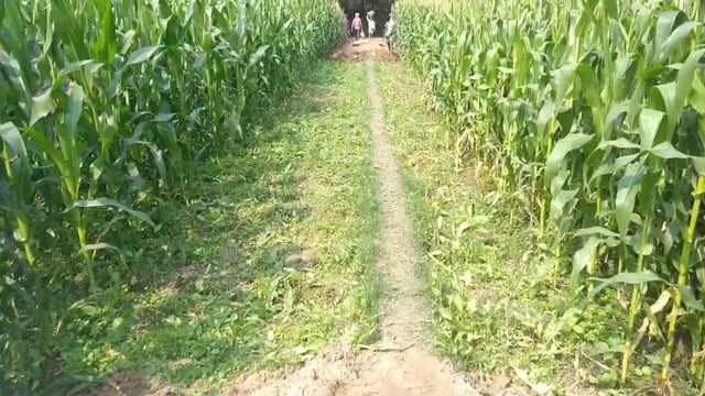 हसनगंज में 2.49 लाख की लागत से मनरेगा योजना के द्वारा हुआ सड़क निर्माण कार्य का शुभारंभ