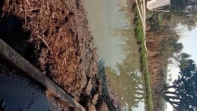 खेडली भेडोलिया तिसाया मार्ग पर फैल रहे कीचड़ की वजह से वाहन चालक परेशान विभाग का नही ध्यान 