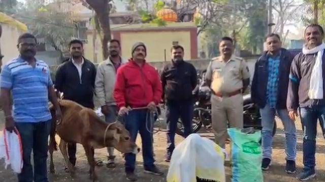 *अकोट शहर पोलीसांची गोमांसविरुद्ध कार्यवाही