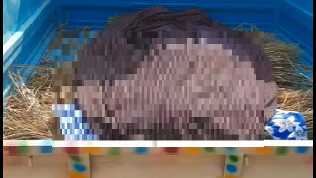 युवक फांसी लगाकर की आत्महत्या पोस्टमार्टम के लिए लाया गया सदर अस्पताल जमुई 