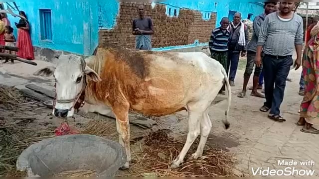 बोधिबिघा गाँव के एक मकान में लगी आगमें,50 हजार रुपये की सम्पति जलकर हुई राख