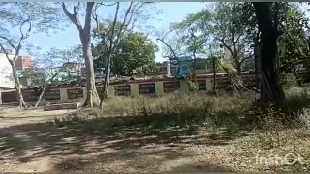 जमुआ वन विभाग कार्यालय में सड़ रही है लाखों की लकड़ी, 15 वर्षों से नहीं हुई है नीलामी 