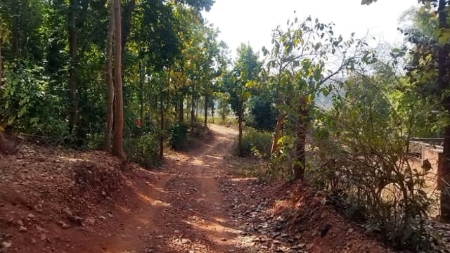 आजादी के बाद भी फुल्लीडुमर प्रखंड के कई गांव पक्की सड़क से वंचित  फल्लीडुमर से कामेश्वर साह की रिपोर्ट# फुल्लीडुमर# 