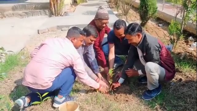 हरनौतअंतर्राष्ट्रीय मातृभाषा दिवस के मौके पर आरपीएस कॉलेज में किया गया वृक्षारोपण।