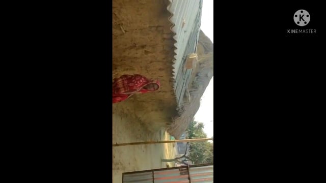 फुल्लीडुमर गनौरा की किरण देवी ने अपने जमीन पर अतिक्रमण कर बनाए गए झोपड़ी को अंचल अधिकारी से आवेदन देकर हटाने की मांग की 