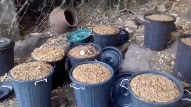 बिना मा गांव से 55 लीटर महुआ जावा व शराब के साथ चार गिरफ्तार भेजा गया जेल