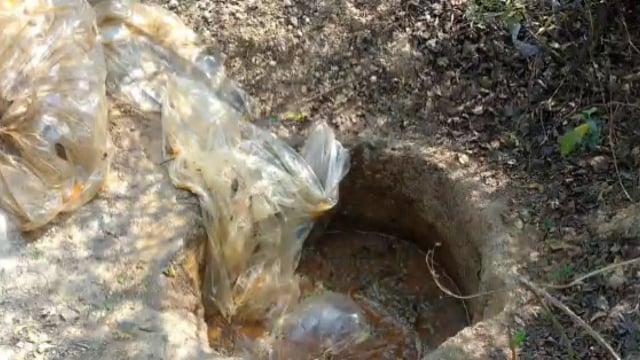 मदनपुर के सलैया थाना क्षेत्र के चाल्हो पहाड़ पर उत्पाद विभाग ने दो उनसे की छापेमारी 12 किलो जावा महुआ किया नष्ट