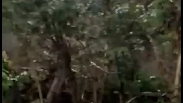 जमुई में विभिन्न जगहों पर  मूसलाधार बारिश और गरज।