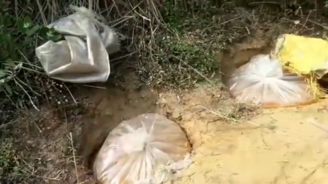 अवैध शराब भट्ठियों को ड्रोन कैमरे की मदद से चिन्हित कर किया ध्वस्त,दो हजार जावा महुआ भी हुआ विनष्ट