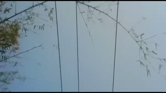 सिरदला प्रखंड के रामेश्वर बिगहा के बधार में 33000 हजार बोल्ट तार में आयी फॉल्ट चार घंटे बिजली रही गुल