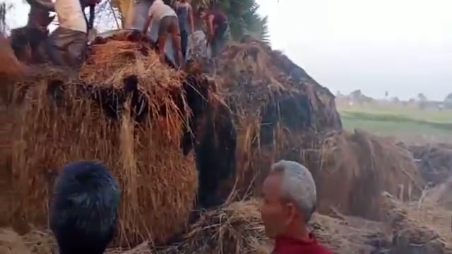 हिलसा नगर परिषद के मई गांव में धान भरा दो पुंज में लगी आग ,हजारों का नुकसान