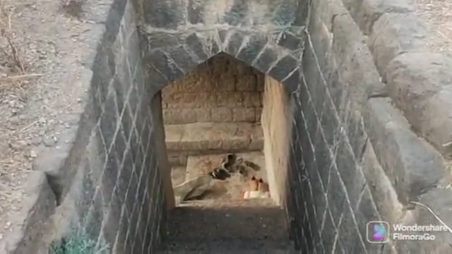 कडेगाव मध्ये प्राचीन विहिरीत स्वच्छता मोहीम