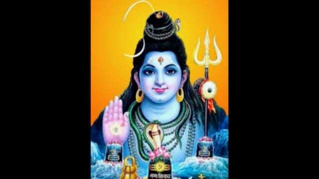 पुपरी में भक्ति गीतों पर झूमते रहे दर्शक