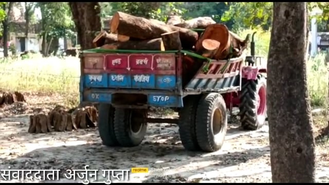 हरे पेड़ों की कटाई धड़ल्ले से, जिम्मेदार मौन, पर्यावरण को नुकसान, सेक्शन ६८ में ६ माह से ३ वर्ष की सजा का प्रविधान