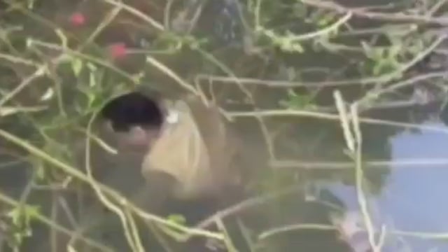 जालौन, बस हादसे में 24 घंटे बाद मिला एक शव, ग्रामीणों ने शव रखकर सड़क पर लगाया जाम