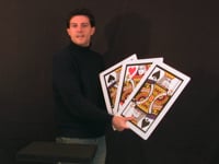 Dov'è la donna