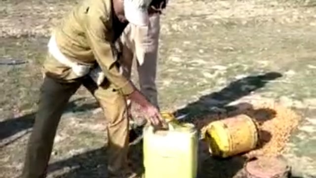 रफीगंज पुलिस ने 700लिटर जावा महुआ को किया विनष्ट