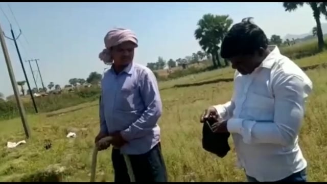 कुशहन पेट्रोल पंप के समीप बधार में 33 हजार हाई वोल्टेज तार का डिश में आई खराबी, 2 घंटे तक बिजली आपूर्ति रहा बाधित