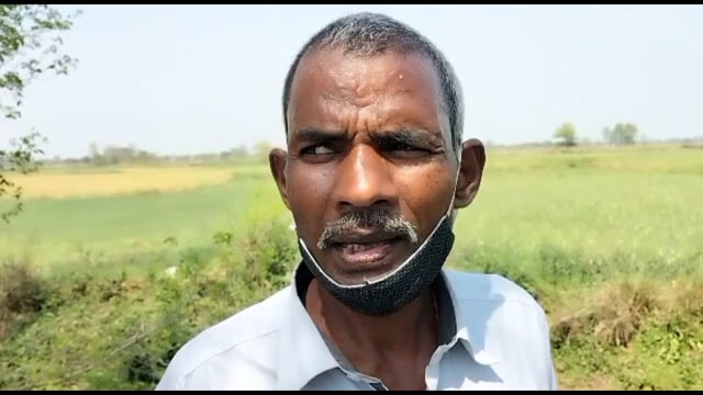 थरथरी प्रखंड के थरथरी कंधा में 
गेहूं फसल को निल गाय ने फसल को किया नुकसान 

